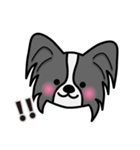 ずっと使えるワンコスタンプ♪黒パピヨン犬（個別スタンプ：11）
