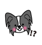 ずっと使えるワンコスタンプ♪黒パピヨン犬（個別スタンプ：12）