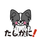 ずっと使えるワンコスタンプ♪黒パピヨン犬（個別スタンプ：14）