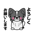 ずっと使えるワンコスタンプ♪黒パピヨン犬（個別スタンプ：18）