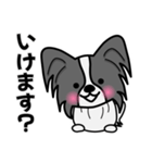 ずっと使えるワンコスタンプ♪黒パピヨン犬（個別スタンプ：19）
