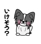 ずっと使えるワンコスタンプ♪黒パピヨン犬（個別スタンプ：20）