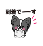 ずっと使えるワンコスタンプ♪黒パピヨン犬（個別スタンプ：21）