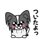 ずっと使えるワンコスタンプ♪黒パピヨン犬（個別スタンプ：22）