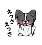 ずっと使えるワンコスタンプ♪黒パピヨン犬（個別スタンプ：23）
