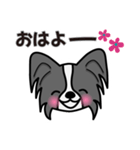 ずっと使えるワンコスタンプ♪黒パピヨン犬（個別スタンプ：25）