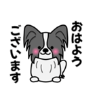 ずっと使えるワンコスタンプ♪黒パピヨン犬（個別スタンプ：26）