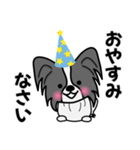 ずっと使えるワンコスタンプ♪黒パピヨン犬（個別スタンプ：28）