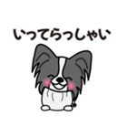 ずっと使えるワンコスタンプ♪黒パピヨン犬（個別スタンプ：29）