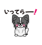 ずっと使えるワンコスタンプ♪黒パピヨン犬（個別スタンプ：30）