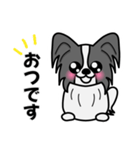 ずっと使えるワンコスタンプ♪黒パピヨン犬（個別スタンプ：32）