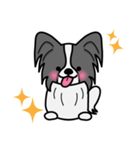 ずっと使えるワンコスタンプ♪黒パピヨン犬（個別スタンプ：33）