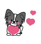 ずっと使えるワンコスタンプ♪黒パピヨン犬（個別スタンプ：34）