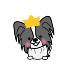 ずっと使えるワンコスタンプ♪黒パピヨン犬（個別スタンプ：36）