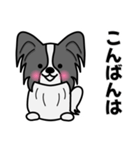 ずっと使えるワンコスタンプ♪黒パピヨン犬（個別スタンプ：38）