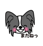 ずっと使えるワンコスタンプ♪黒パピヨン犬（個別スタンプ：39）