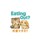 猫いろいろ日常会話55（個別スタンプ：12）