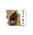 ぽてとまめ♡普段使える動画vol.1（個別スタンプ：4）