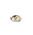 小さなわんこスタンプ（個別スタンプ：36）