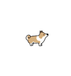 小さなわんこスタンプ（個別スタンプ：37）