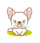 わんこびより(フレンチブルドッグ)①（個別スタンプ：34）