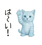 推し猫【青】,,,,,,,（個別スタンプ：9）