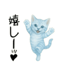 推し猫【青】,,,,,,,（個別スタンプ：18）