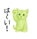 推し猫【緑】,,,,,,,（個別スタンプ：11）