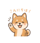 まんまる柴犬のやさしい日々（個別スタンプ：1）