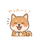 まんまる柴犬のやさしい日々（個別スタンプ：5）