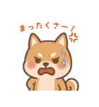 まんまる柴犬のやさしい日々（個別スタンプ：7）