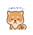 まんまる柴犬のやさしい日々（個別スタンプ：8）