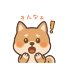 まんまる柴犬のやさしい日々（個別スタンプ：10）