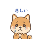 まんまる柴犬のやさしい日々（個別スタンプ：11）
