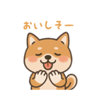 まんまる柴犬のやさしい日々（個別スタンプ：12）