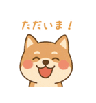 まんまる柴犬のやさしい日々（個別スタンプ：13）