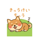 まんまる柴犬のやさしい日々（個別スタンプ：14）