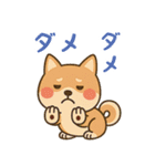 まんまる柴犬のやさしい日々（個別スタンプ：15）