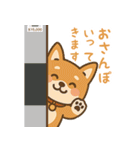 まんまる柴犬のやさしい日々（個別スタンプ：16）