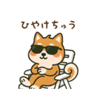 まんまる柴犬のやさしい日々（個別スタンプ：20）
