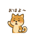 まんまる柴犬のやさしい日々（個別スタンプ：21）