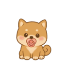 まんまる柴犬のやさしい日々（個別スタンプ：22）