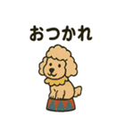 サーカスの仲間たち★にぎやかスタンプ（個別スタンプ：38）