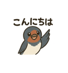 かわいい燕の毎日スタンプ（個別スタンプ：1）
