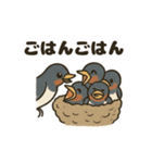 かわいい燕の毎日スタンプ（個別スタンプ：5）