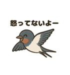 かわいい燕の毎日スタンプ（個別スタンプ：11）