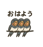 かわいい燕の毎日スタンプ（個別スタンプ：17）