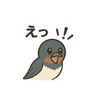 かわいい燕の毎日スタンプ（個別スタンプ：20）