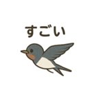 かわいい燕の毎日スタンプ（個別スタンプ：29）
