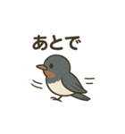かわいい燕の毎日スタンプ（個別スタンプ：31）